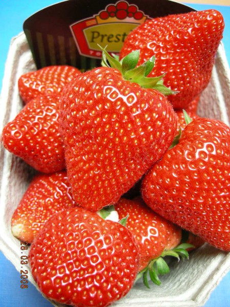 ягоды сорта Элианне ( Elianny )