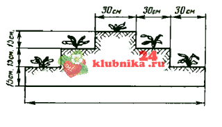 Устройство пирамиды под клубнику. Клубника на пирамиде