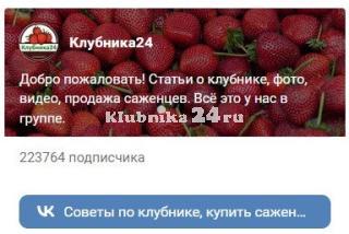 Клубника24 во Вконтакте